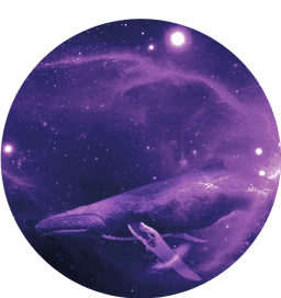 Floating whale in purple blackground